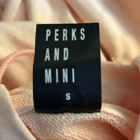Perks and Mini Jog Your Mind Hoodie, pink, size small. - Picture 5 of 6